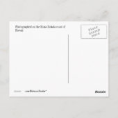 ハワイアン海岸線アットサンセット ポストカード (裏面)