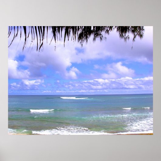 ハワイアン海 ポスター (正面)