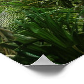 ハワイアン滝1 ポスター (角)