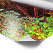 ハワイアン滝 フォトプリント            (角)