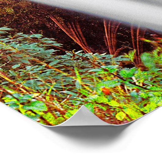 ハワイアン滝 ポスター (角)