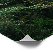 ハワイアン滝 ポスター (角)