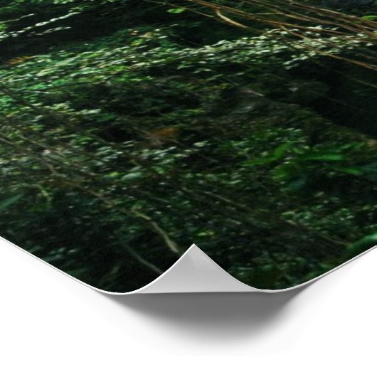 ハワイアン滝 ポスター (角)