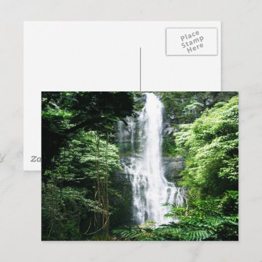 ハワイアン滝 ポストカード (正面/裏面)