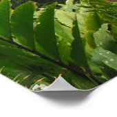 ハワイアン熱帯雨林 ポスター (角)