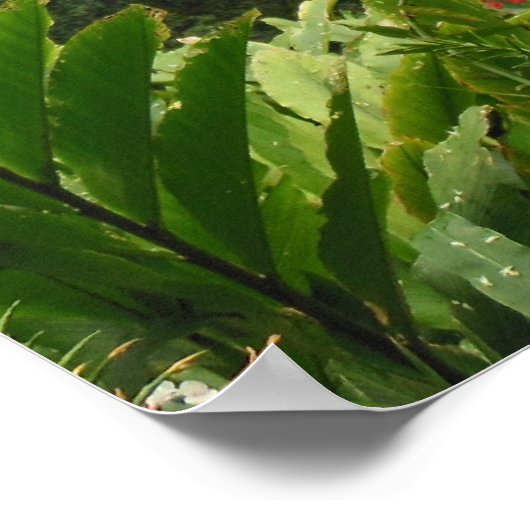 ハワイアン熱帯雨林 ポスター (角)