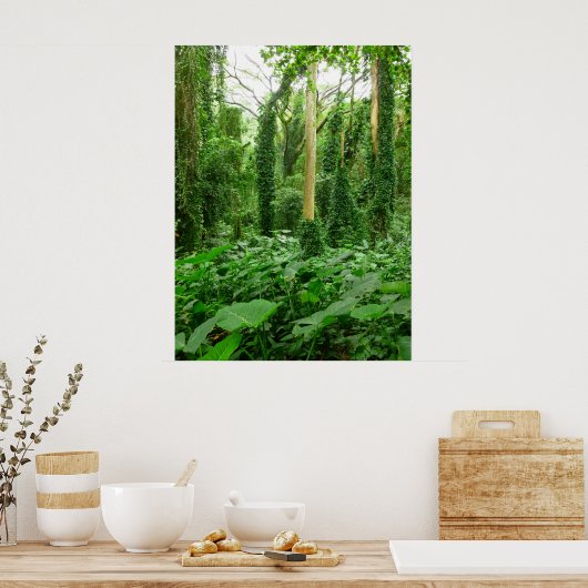 ハワイアン熱帯雨林 ポスター (キッチン)