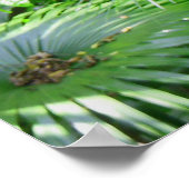 ハワイアン熱帯雨林 ポスター (角)