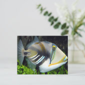 ハワイアン熱帯魚はがき ポストカード (スタンド正面)