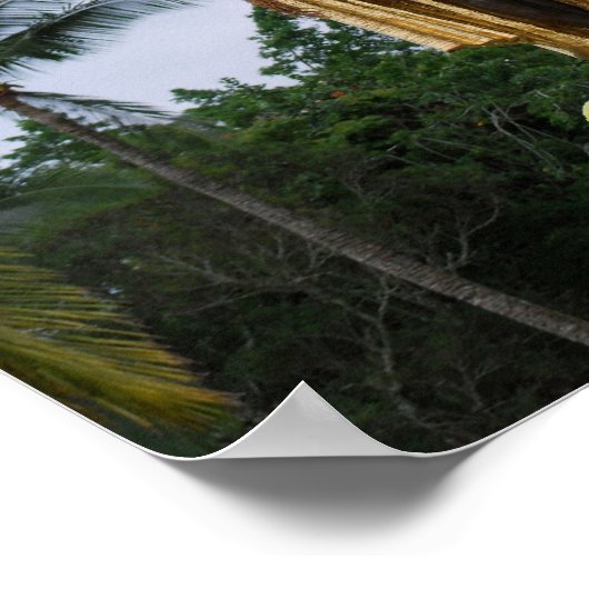 ハワイアン王亀葉像 ポスター (角)