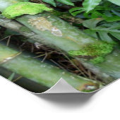 ハワイアン竹とブルージンジャー ポスター (角)