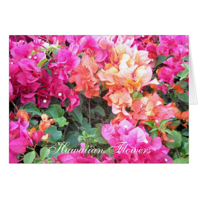 ハワイアン花 (正面横)