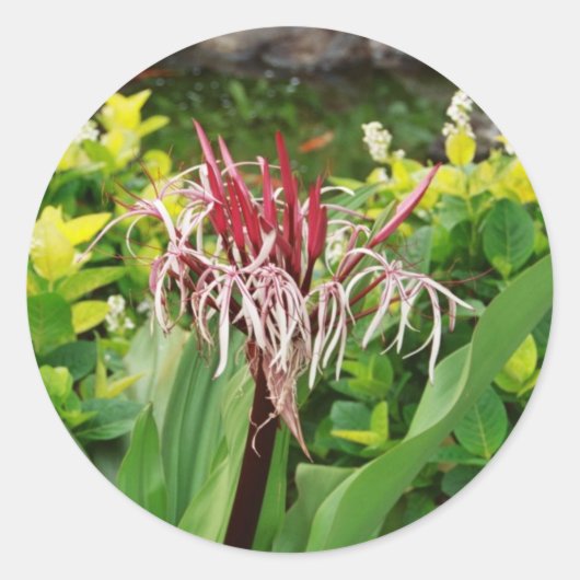 ハワイアン花 ラウンドシール (正面)