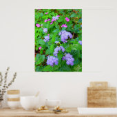 ハワイアン野生の花 ポスター (キッチン)