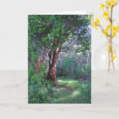 ハワイアン雨林 カード (黄色い花)