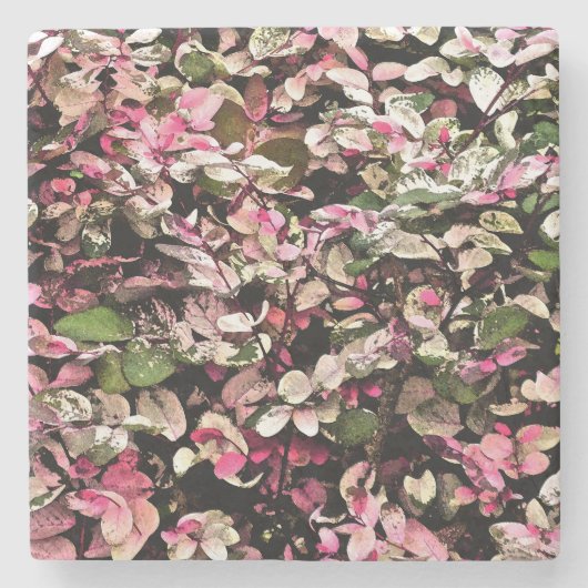 「ハワイアン雪の茂み」/ピンクス、緑、白 ストーンコースター (正面)