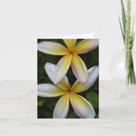 ハワイアン鮮やか花折りグリーティングカード カード
