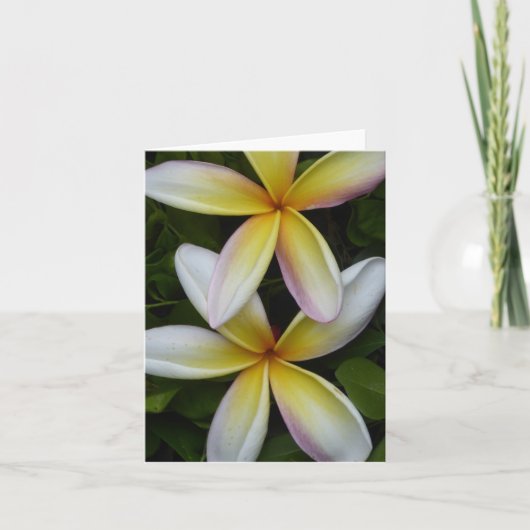 ハワイアン鮮やか花折りグリーティングカード カード (正面)