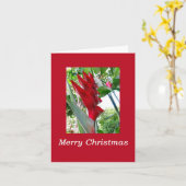 ハワイアン・クリスマス カード (黄色い花)