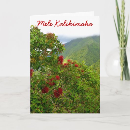 ハワイアン シーズンカード (正面)