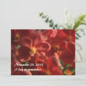 ハワイアン トロピカル オーキッド インビテーションズ 招待状 (スタンド正面)