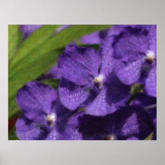 ハワイアン トロピカル オーキッド ポスター (正面)