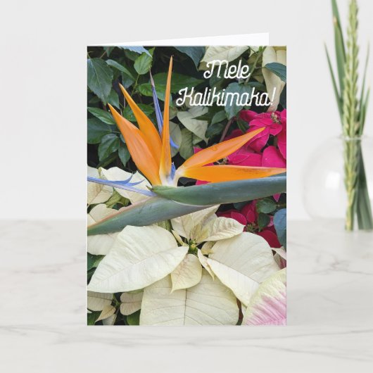 ハワイアン フラワーのパラダイスの花とポインセチア シーズンカード (正面)