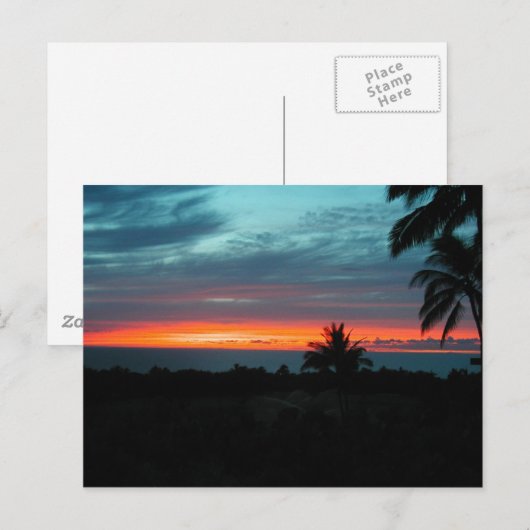 ハワイアン ポストカード (正面/裏面)