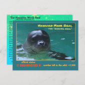 ハワイアン モンクアザラシは絶滅の危機に瀕している = ポストカード (正面/裏面)
