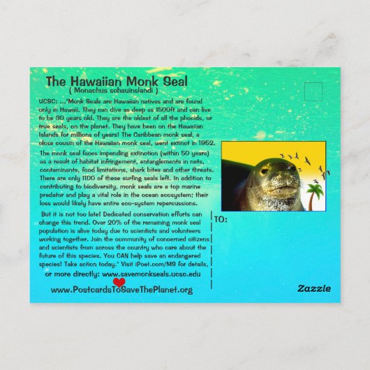 ハワイアン モンクアザラシは絶滅の危機に瀕している = ポストカード (裏面)