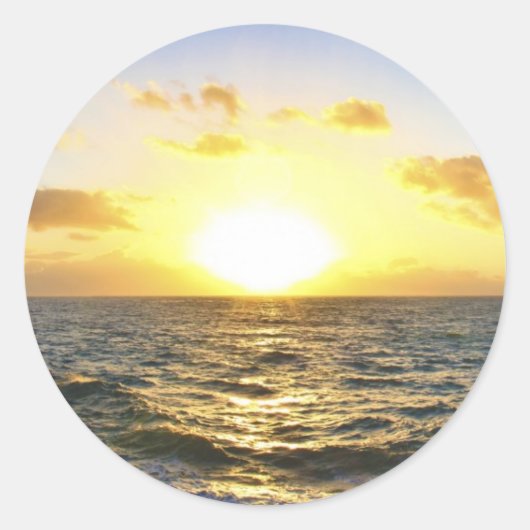 ハワイアン ラウンドシール (正面)