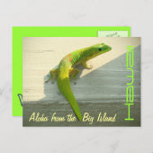 ハワイアンgeckoはがき ポストカード (正面/裏面)