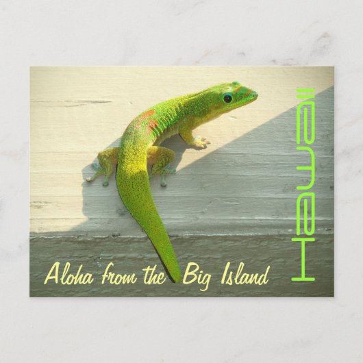 ハワイアンgeckoはがき ポストカード (正面)