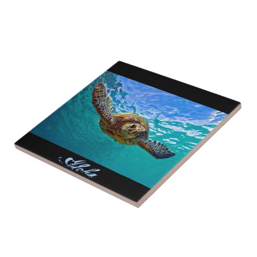 ハワイアンHonu -ウミガメ タイル (側面)