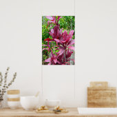 ハワイアンTiプラントポスター ポスター (キッチン)