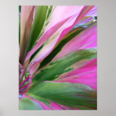 ハワイアンTi植物 ポスター (正面)