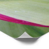 ハワイアンTi植物 ポスター (角)