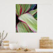 ハワイアンTi植物 ポスター (キッチン)