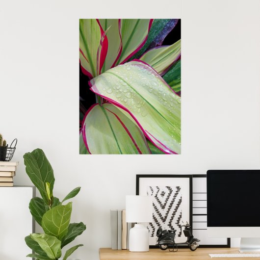 ハワイアンTi植物 ポスター (ホームオフィス)