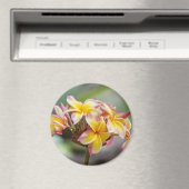 ハワイイエローピンクプルメリアフラワーズマグネット マグネット (インサイチュ (食洗機))