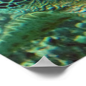 ハワイウミガメ ポスター (角)