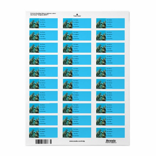 ハワイウミガメ ラベル (フルシート)