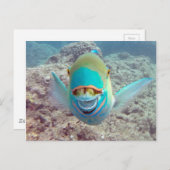 ハワイオウム ポストカード (正面/裏面)