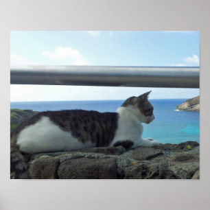 ハワイキャット ポスター