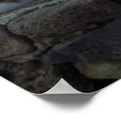 ハワイキャット ポスター (角)