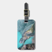 ハワイグリーンシーカメ ラゲッジタグ (正面縦)