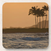 ハワイサンセット コースター (正面)