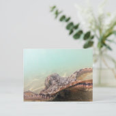 ハワイタコ ポストカード (スタンド正面)