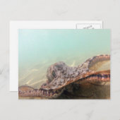 ハワイタコ ポストカード (正面/裏面)