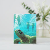 ハワイタートルシュノーケラー ポストカード (スタンド正面)